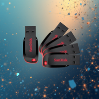 SanDisk Cruzer Blade USB Flash Drives